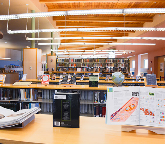 Displays of books on shelves at Zollinger Library.