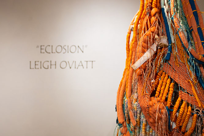 The Ingham Chapman Gallery exhibits the show “Eclosion” by Santa Fe fiber artist Leigh Oviatt at The University of New Mexico-Gallup on March 26, 2026.