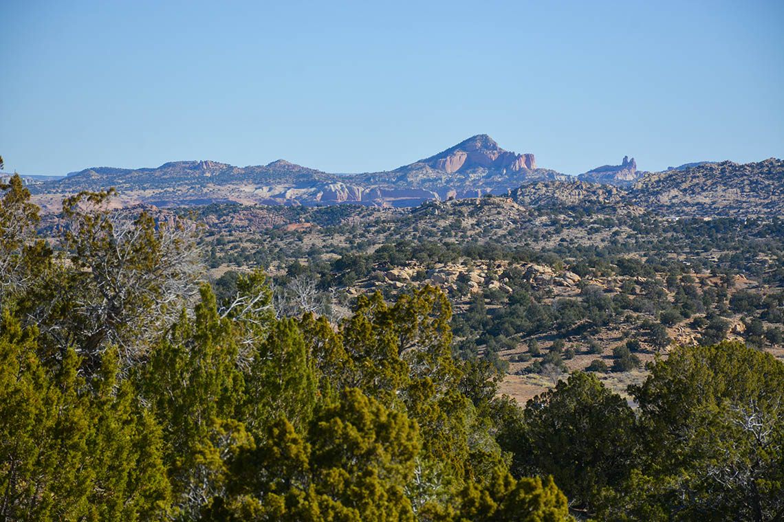 Building community resilience